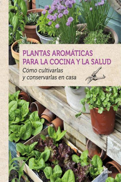 Plantas Aromaticas Para La Cocina Y La – Boudassou Benedicte