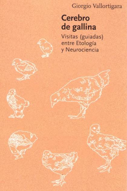 Cerebro de gallina – Giorgio Vallortigara